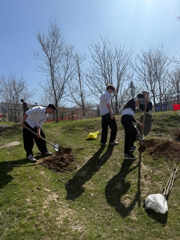 №41 мектеп-лицейінде Шымкент қаласы Білім басқармасының бастамасымен ұйымдастырылған «Таза Қазақстан» экологиялық акциясы аясында ашық сабақтар мен ағаш отырғызу шаралары өтті.